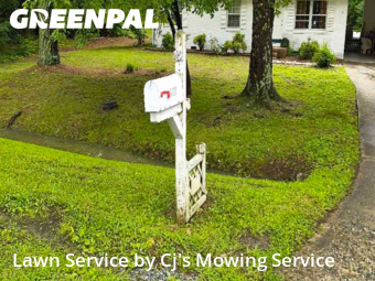 Lawn Cut nearby Browns Summit, NC, 