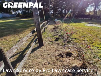 Grass Cutting nearby Greenville, NC, 
