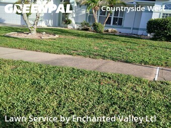 Grass Cut nearby Port Orange, FL, 