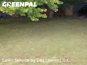Lawn Care Service nearby Springfield, MO, 
