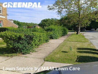 Lawn Mowing Service nearby Chicago Heights, IL, 