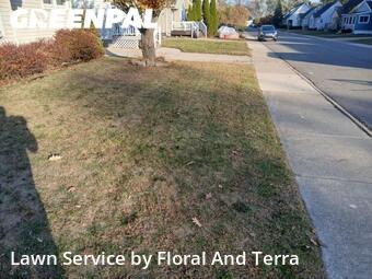 Lawn Care nearby Ferndale, MI, 