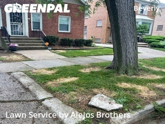 Lawn Service nearby Chicago, IL, 