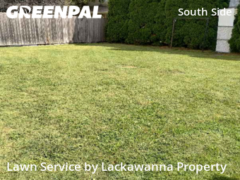 Grass Cut nearby Scranton, PA, 