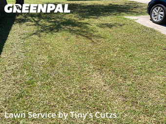 Grass Cut nearby Valdosta, GA, 