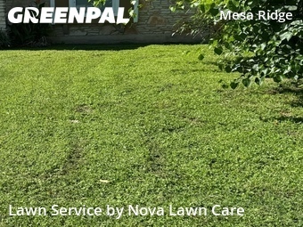 Lawn Care nearby Round Rock, TX, 