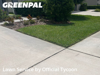 Grass Cut nearby De Land, FL, 