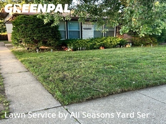 Lawn mowed in Dolton, 60419