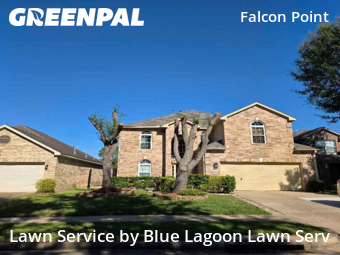 Lawn Mowing Servicein Katy,77494,Yard Mowing by Blue Lagoon Lawn Serv, work completed in Dec , 2025