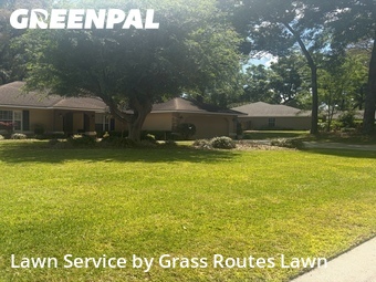 Yard Cutting nearby Ocala, FL, 