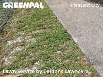 Lawn Care Service nearby West Palm Beach, FL, 