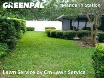 Lawn Mowing nearby Jacksonville, FL, 