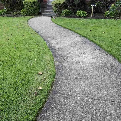 Lawn Love Lawn Care of Washington DC Photo 3