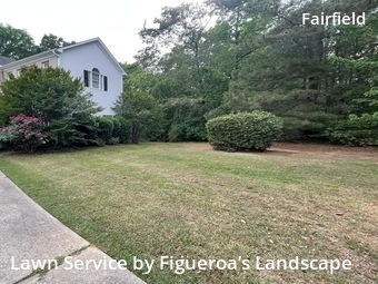 Lawn Mowing Service nearby Durham, NC, 