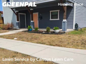 Lawn Mow nearby San Antonio, TX, 