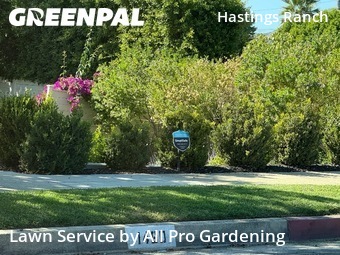 Lawn Mowingin Pasadena,91107,Yard Mowing by All Pro Gardening, work completed in Nov , 2025
