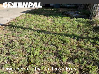 Yard Cutting nearby Longmont, CO, 