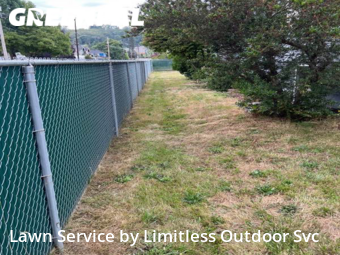 Lawn Cutting nearby Seattle, WA, 