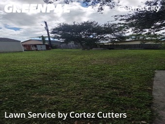 Grass Cut nearby Corpus Christi, TX, 