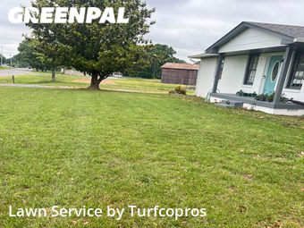 Lawn Mowing nearby Springfield, TN, 