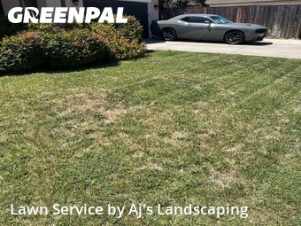 Grass Cutting nearby Riverbank, CA, 