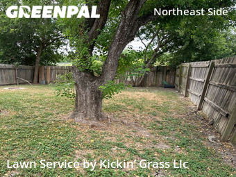 Lawn Mowing nearby San Antonio, TX, 