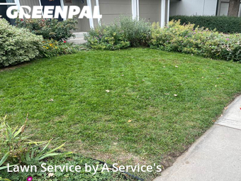Lawn Cutting nearby Fort Collins, CO, 