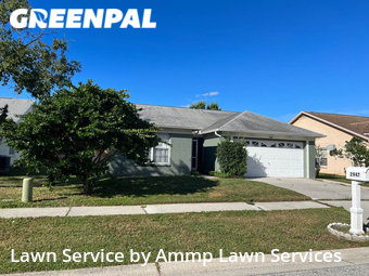 Lawn Cutting nearby Palm Harbor, FL, 