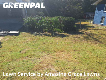 Yard Care in Snellville, 30078, Yard Services by Amazing Grace Lawns, work completed in Nov , 2025