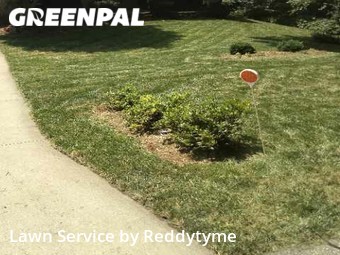 Lawn Mowing nearby Prospect, KY, 