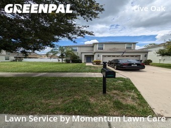 Yard Mowing nearby Tampa, FL, 