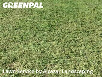 Grass Cutting nearby Irving, TX, 