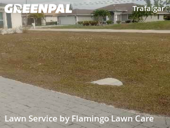 Landscaper In Cape Coral,33991,Landscaping by Flamingo Lawn Care, work completed in Dec , 2025