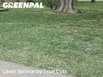 Lawn Care Service nearby Del City, OK, 
