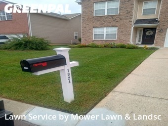 Grass Cut nearby Spring Hill, TN, 