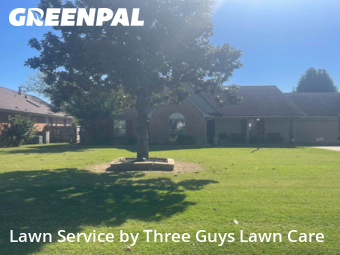 Lawn Maintenance in Southaven, 38671, Lawn Management by Three Guys Lawn Care, work completed in Nov , 2025