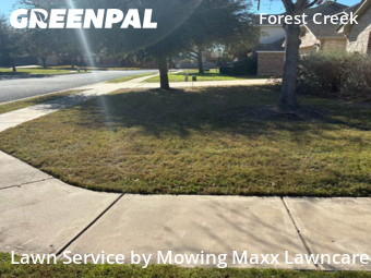 Lawn mowed in Round Rock, 78664