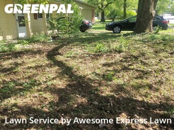 Lawn mowed in Carbondale, 62901