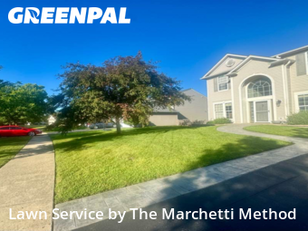 Grass Cutting nearby Bolingbrook, IL, 