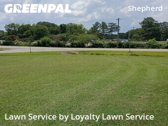 Lawn mowed in Chattanooga, 37421
