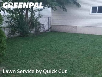 Yard Cutting nearby Chicago, IL, 