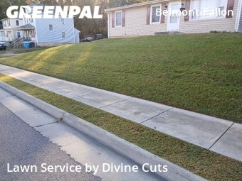 Grass Cut nearby Roanoke, VA, 