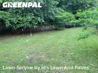 Lawn Cutting nearby Macon, GA, 