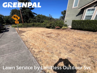 Yard Cutting nearby Seattle, WA, 