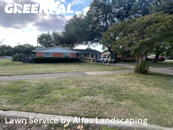 Grass Cutin Richardson,75080,Grass Cutting by Alfas Landscaping, work completed in Dec , 2025