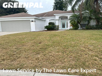 Lawn Cutting nearby Lakeland, FL, 