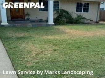 Grass Cut nearby Citrus Heights, CA, 