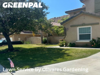Work completed by lawn-care-experts-in-Santa Clarita-CA