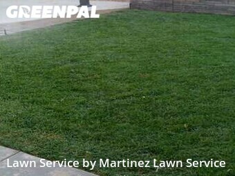 Yard Cutting nearby Elk Grove, CA, 