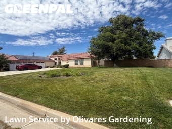 Lawn mowing work completed in Palmdale, CA